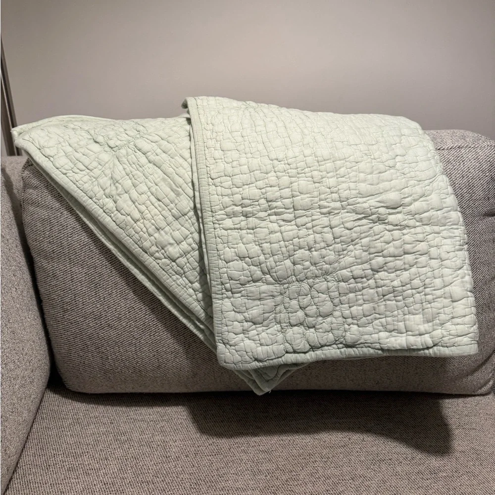 West Elm Standard Sham Set